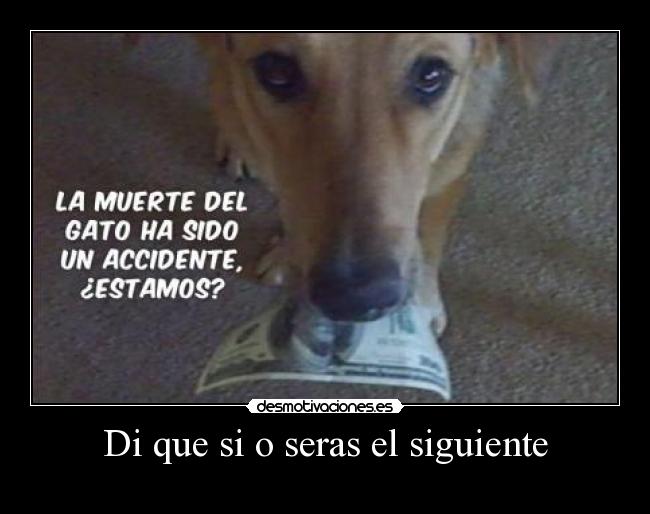 Di que si o seras el siguiente -