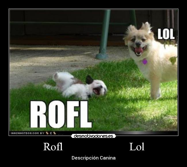 Rofl Lol - Descripción Canina
