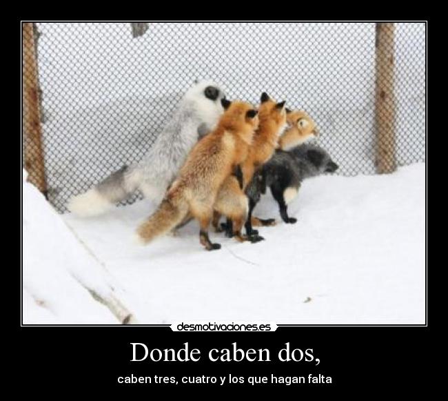 Donde caben dos, - 