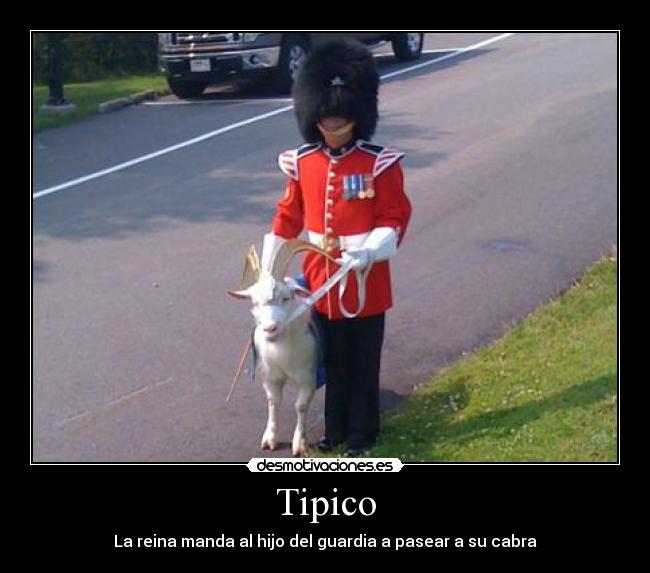 Tipico - La reina manda al hijo del guardia a pasear a su cabra