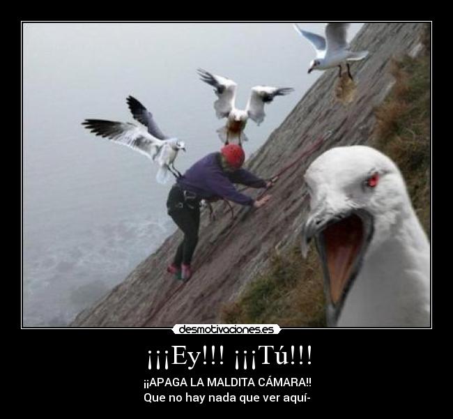 ¡¡¡Ey!!! ¡¡¡Tú!!! - ¡¡APAGA LA MALDITA CÁMARA!!
Que no hay nada que ver aquí-