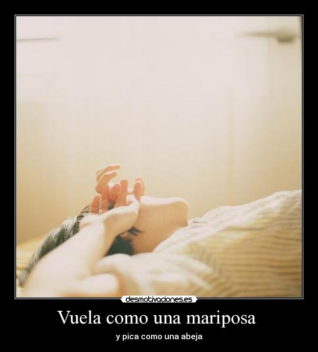 Vuela como una mariposa  - 