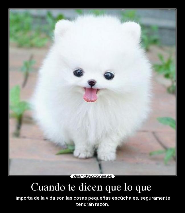 Cuando te dicen que lo que - importa de la vida son las cosas pequeñas escúchales, seguramente tendrán razón.