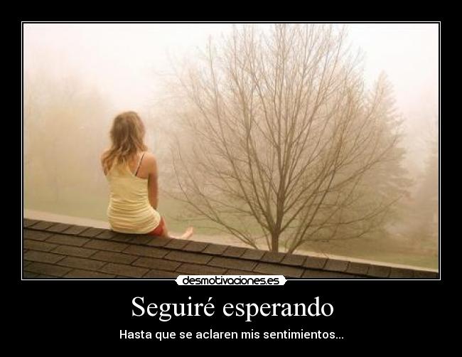 Seguiré esperando - Hasta que se aclaren mis sentimientos...