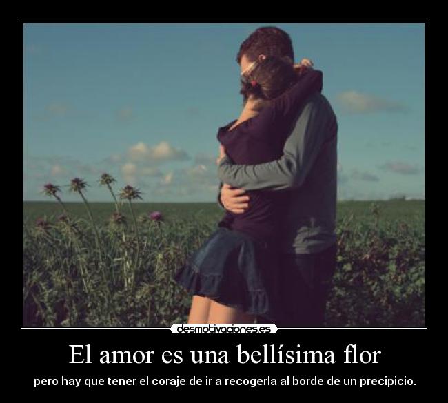 El amor es una bellísima flor - pero hay que tener el coraje de ir a recogerla al borde de un precipicio.
