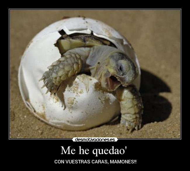 Me he quedao  - CON VUESTRAS CARAS, MAMONES!!