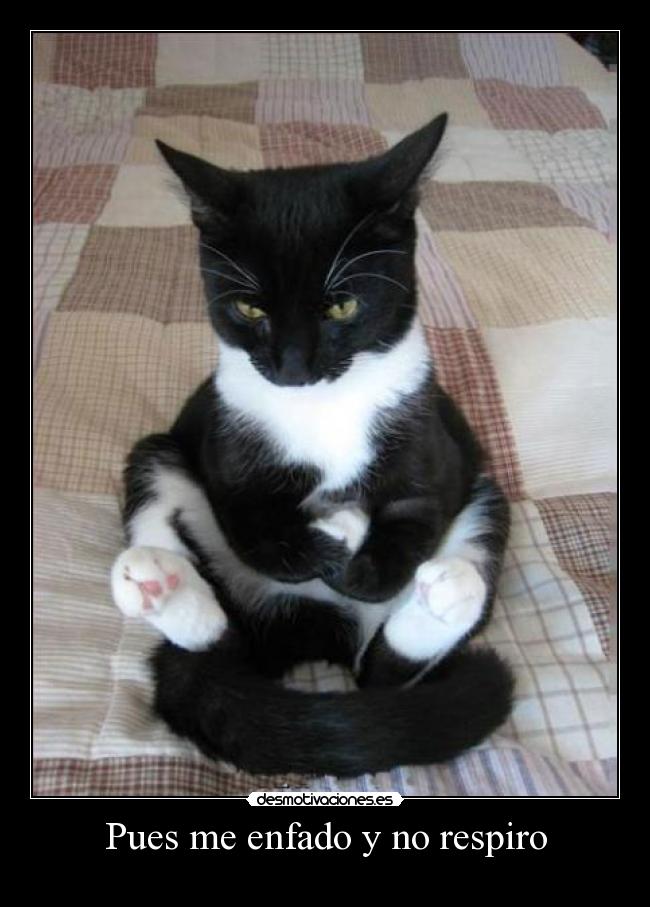 Pues me enfado y no respiro -