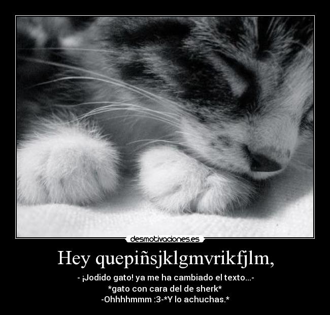 Hey quepiñsjklgmvrikfjlm, - - ¡Jodido gato! ya me ha cambiado el texto...-
*gato con cara del de sherk*
-Ohhhhmmm :3-*Y lo achuchas.*