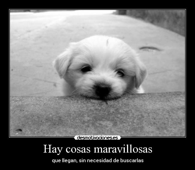 carteles hay cosas maravillosas desmotivaciones