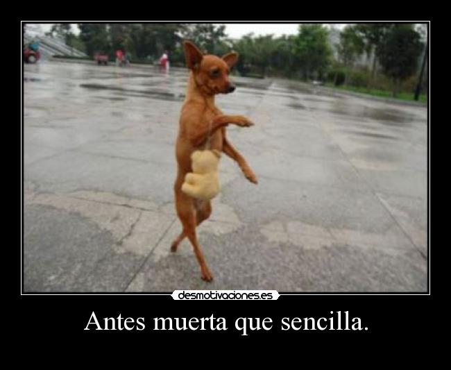 Antes muerta que sencilla. -