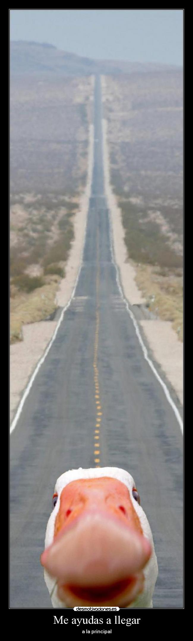 Me ayudas a llegar - a la principal