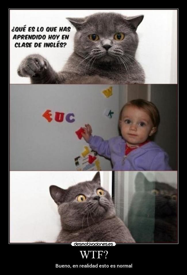 carteles gatosestranado desmotivaciones