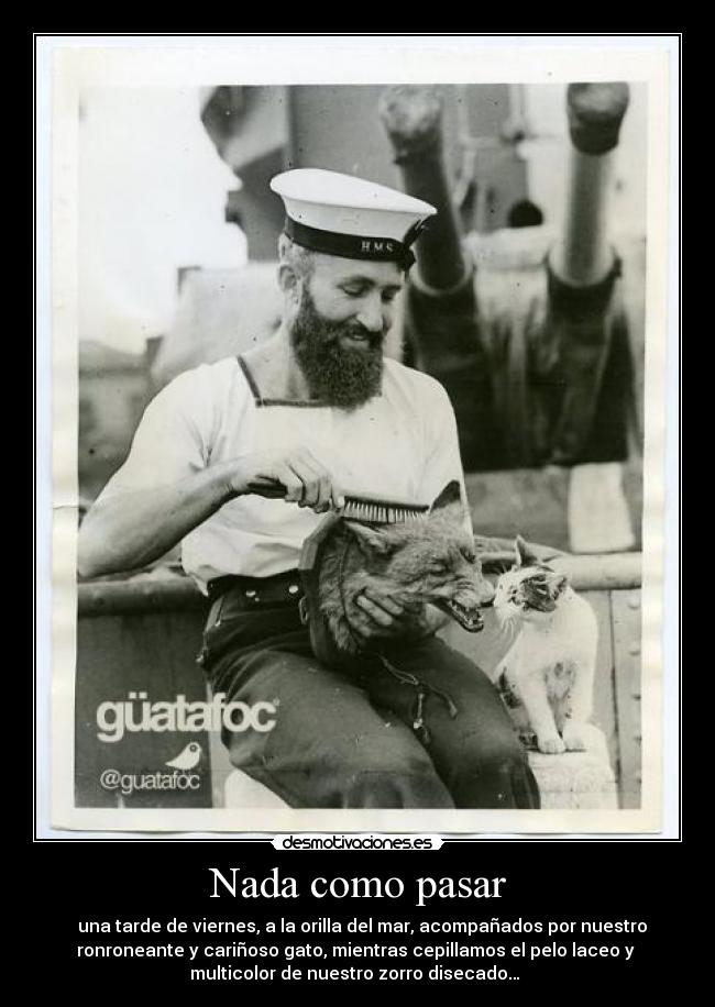 Nada como pasar - una tarde de viernes, a la orilla del mar, acompañados por nuestro
ronroneante y cariñoso gato, mientras cepillamos el pelo laceo y
multicolor de nuestro zorro disecado…