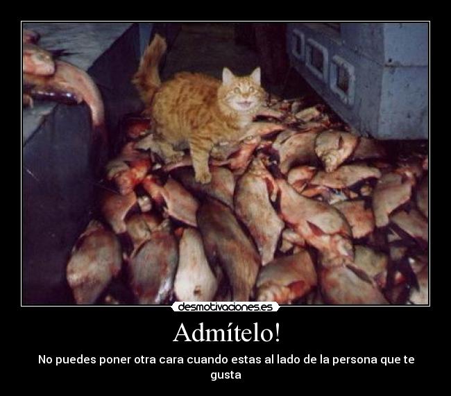 Admítelo! - No puedes poner otra cara cuando estas al lado de la persona que te gusta