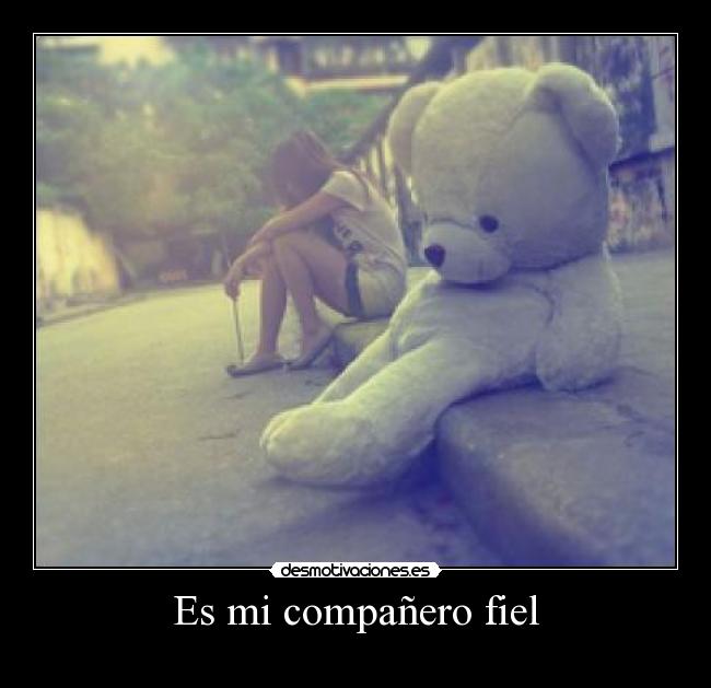 Es mi compañero fiel - 