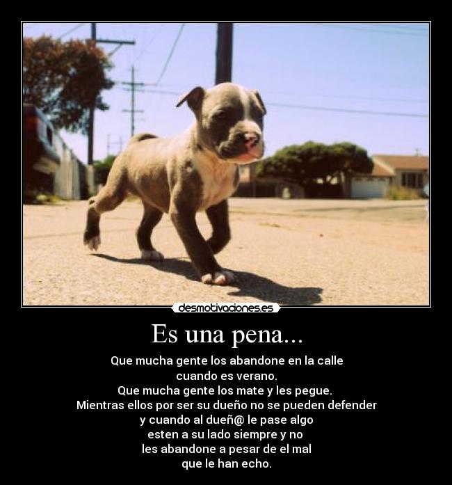 Es una pena... - Que mucha gente los abandone en la calle
cuando es verano.
Que mucha gente los mate y les pegue.
Mientras ellos por ser su dueño no se pueden defender
y cuando al dueñ@ le pase algo
esten a su lado siempre y no
les abandone a pesar de el mal
que le han echo.