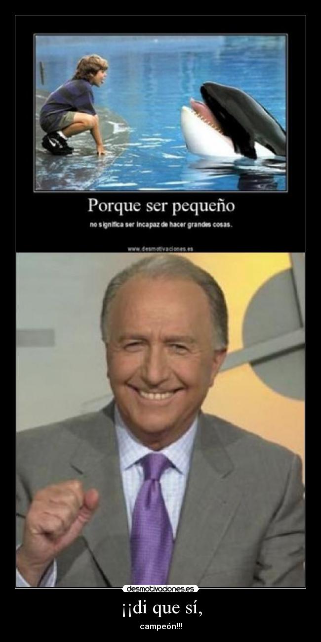¡¡di que sí, - campeón!!!