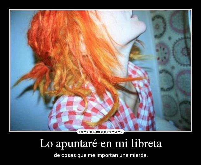 Lo apuntaré en mi libreta -