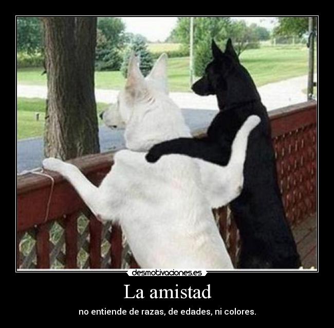 La amistad - no entiende de razas, de edades, ni colores.