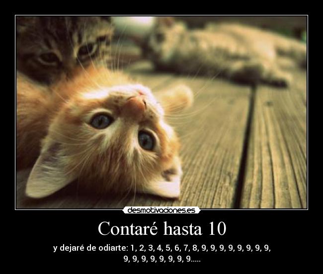 Contaré hasta 10 -