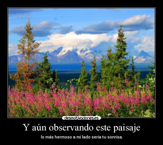 Y aún observando este paisaje - 