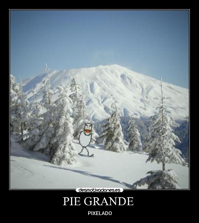 PIE GRANDE  - PIXELADO