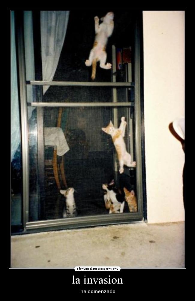 carteles desmotivaciones