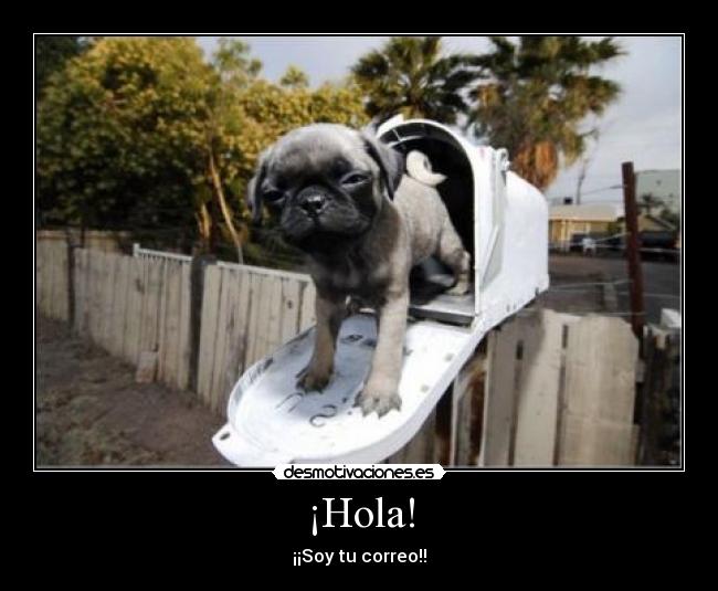 ¡Hola! -