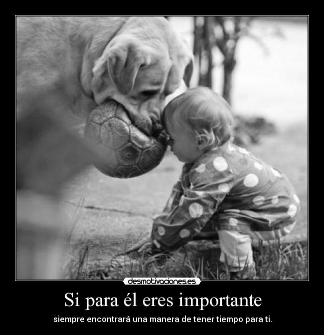 Si para él eres importante -