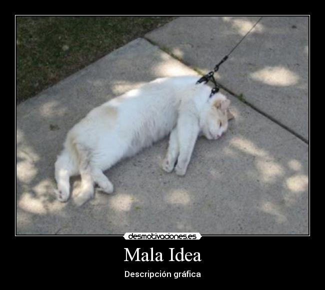 Mala Idea - Descripción gráfica