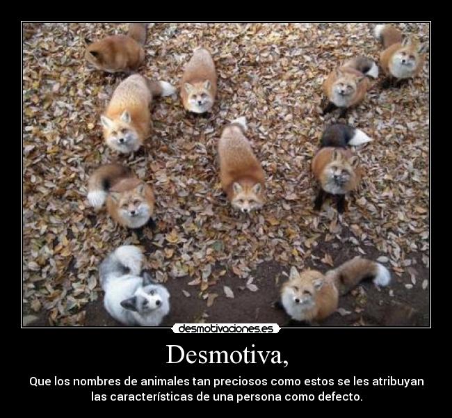 Desmotiva, - Que los nombres de animales tan preciosos como estos se les atribuyan
las características de una persona como defecto.