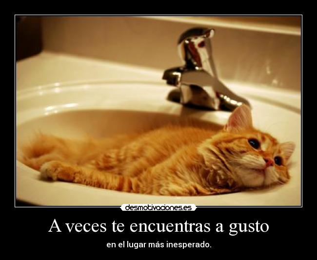 A veces te encuentras a gusto - en el lugar más inesperado.