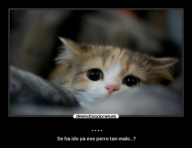 .... - Se ha ido ya ese perro tan malo...?