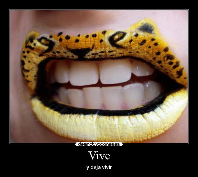 Vive - 