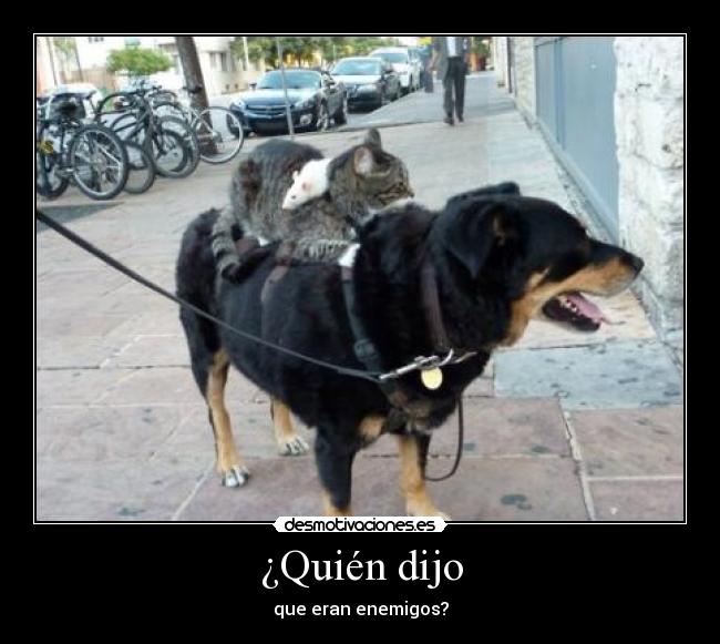 ¿Quién dijo - que eran enemigos?