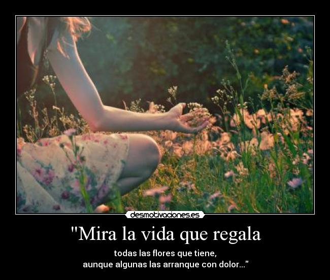 Mira la vida que regala - todas las flores que tiene,
aunque algunas las arranque con dolor...