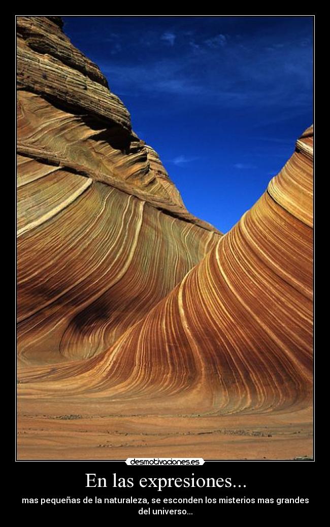 En las expresiones... - 