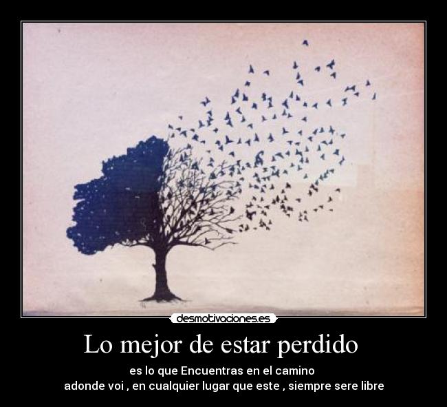 Lo mejor de estar perdido - es lo que Encuentras en el camino
adonde voi , en cualquier lugar que este , siempre sere libre