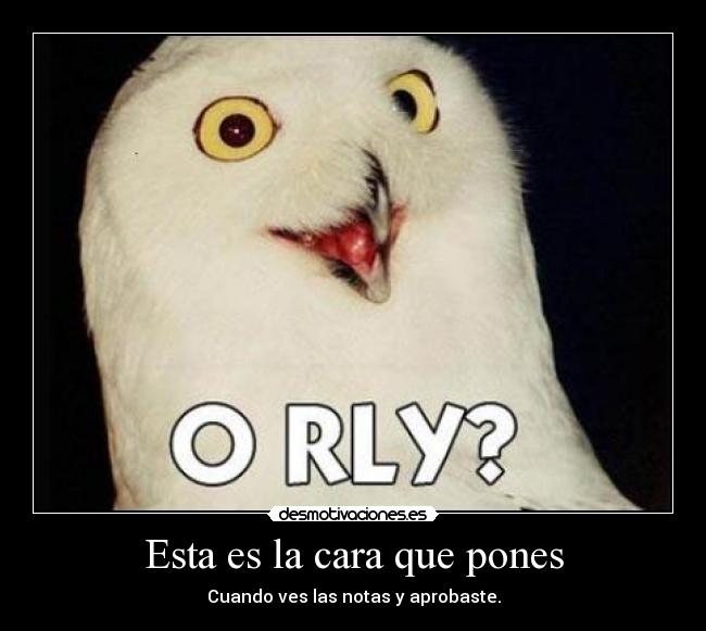 Esta es la cara que pones - 