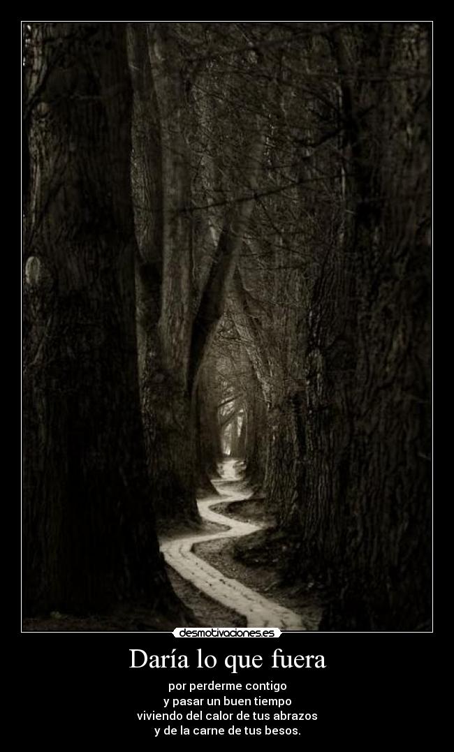 carteles perderse abrazos besos amor foto desmotivaciones