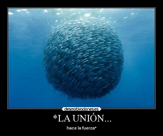 *LA UNIÓN... - 