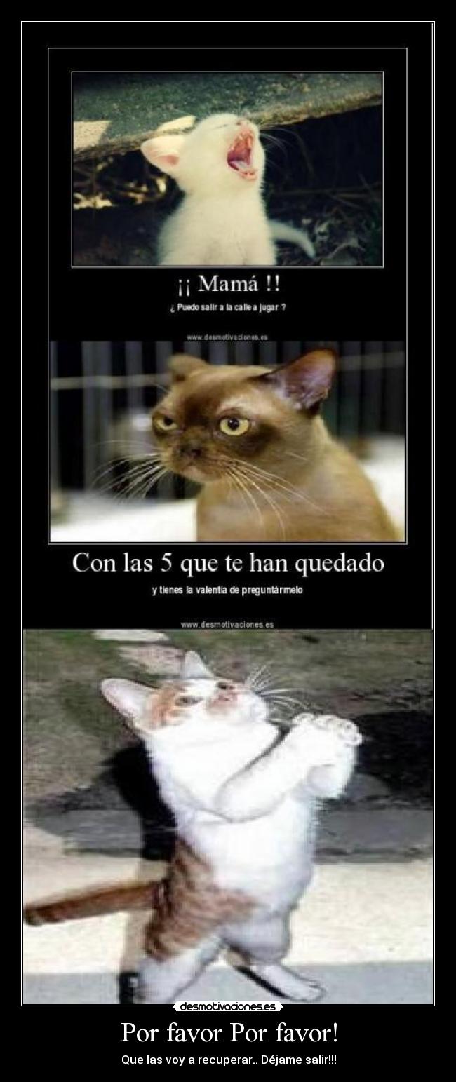 Por favor Por favor! - Que las voy a recuperar.. Déjame salir!!!