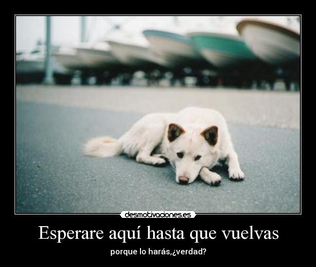 Esperare aquí hasta que vuelvas - porque lo harás,¿verdad?