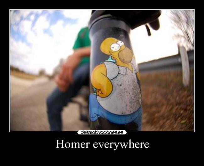 Homer everywhere - 