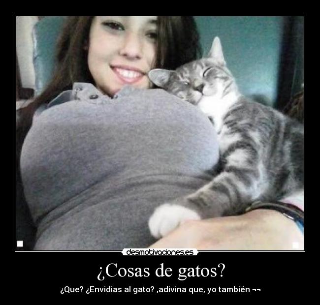 ¿Cosas de gatos? - ¿Que? ¿Envidias al gato? ,adivina que, yo también ¬¬