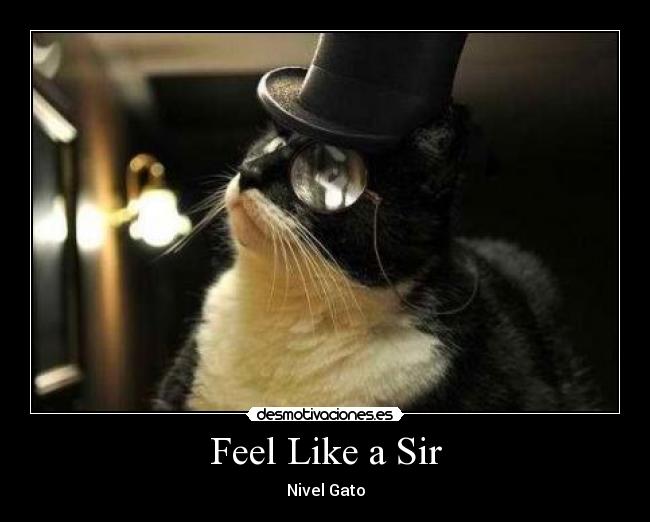 Feel Like a Sir - Nivel Gato