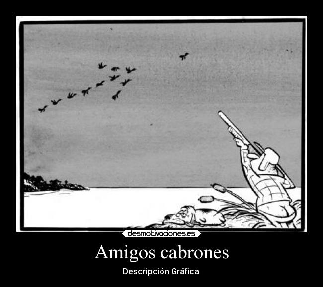Amigos cabrones - Descripción Gráfica
