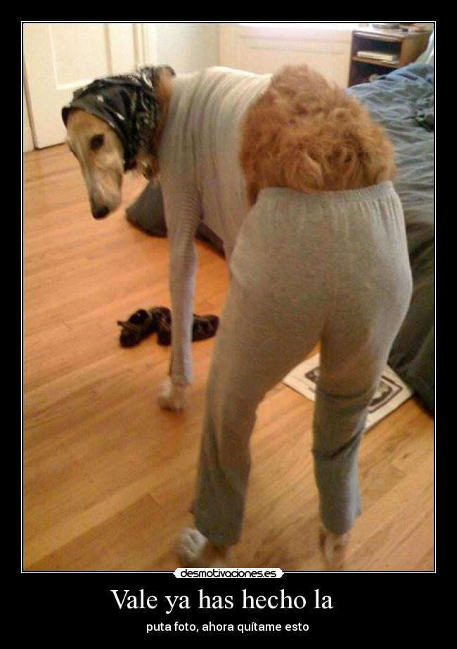 Vale ya has hecho la -