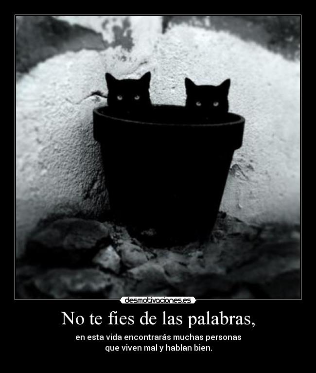 No te fies de las palabras, - 