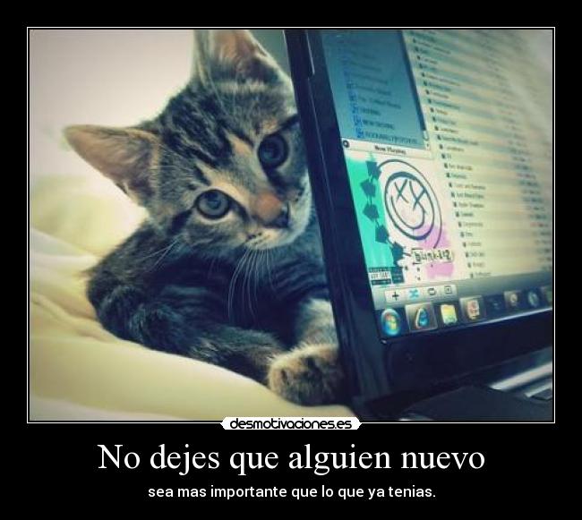 carteles importante alguien nuevo tenias no gato notebook internet desmotivaciones